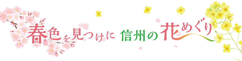 春色を見つけに信州の花めぐり