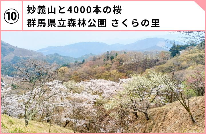 妙義山と4000本の桜群馬県立森林公園 さくらの里