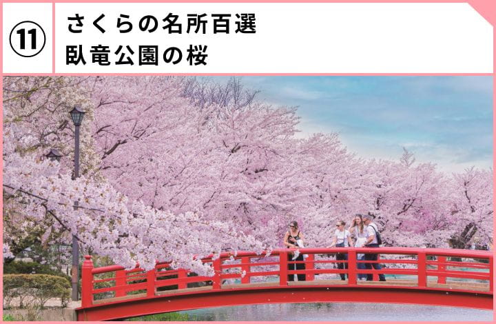さくらの名所百選臥竜公園の桜