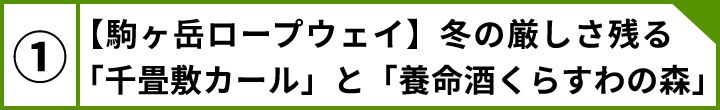 ①【駒ヶ岳ロープウェイ】冬の厳しさ残る「千畳敷カール」と「養命酒くらすわの森」