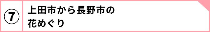 ⑦上田市から長野市の花めぐり