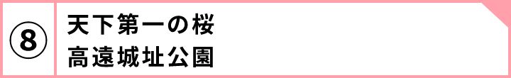 ⑧天下第一の桜高遠城址公園