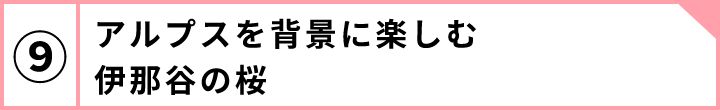 ⑨アルプスを背景に楽しむ伊那谷の桜