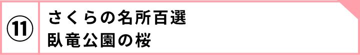 ⑪さくらの名所百選臥竜公園の桜