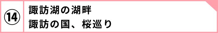 ⑭諏訪湖の湖畔諏訪の国、桜巡り